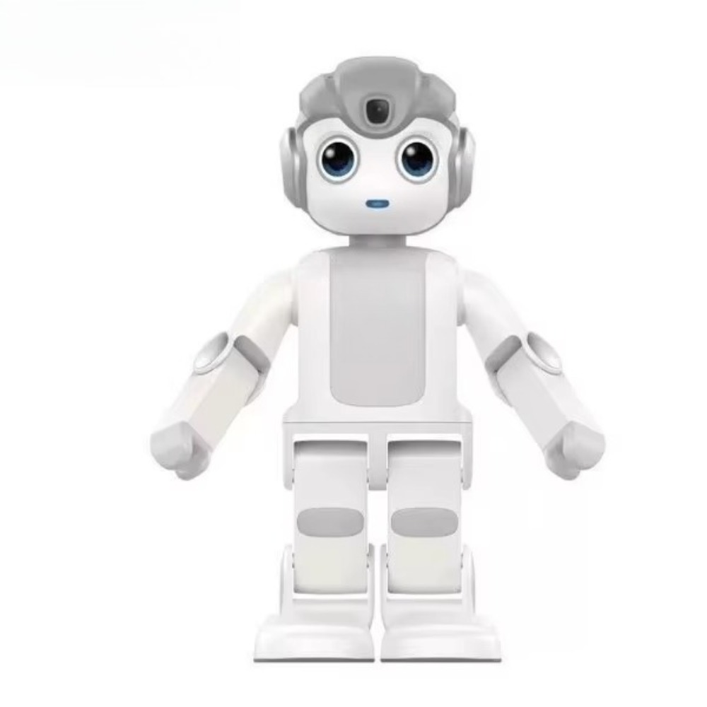 Kids Education Program - Robô Humanoide Programável com IA, Reconhecimento